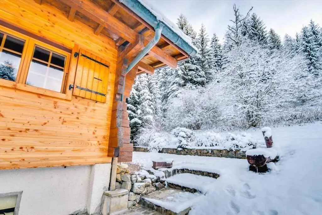 Chant Du Coq - Chalet - Bo Immobilier - Multipass Ete 2025 Offert Châtel